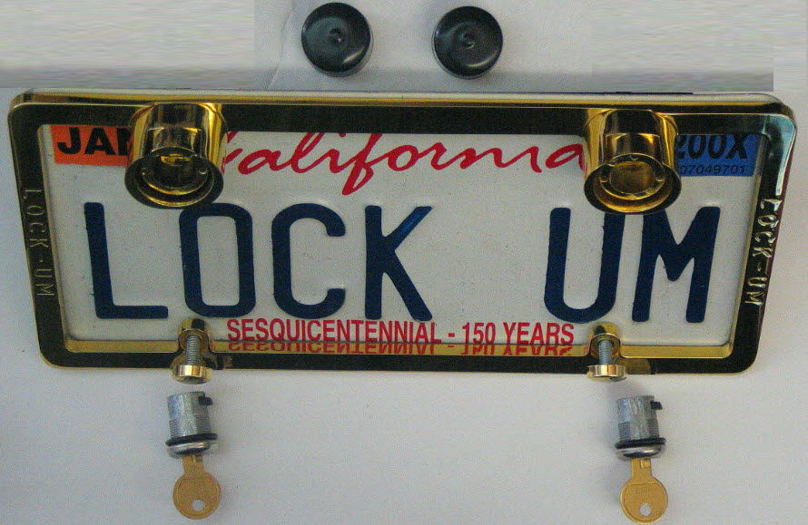 Procedure for Dealing with a Lost or Stolen Driver's License